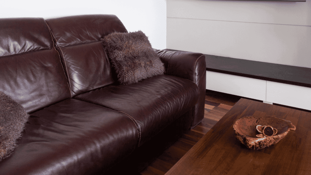 Matching Brown Cushions